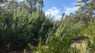 Land for sale in Ovar, Portugal — €131,750