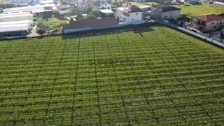 Terreno para venda em Barcelos, Portugal — 525 000 €