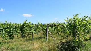Terreno para venda em Monção, Portugal — 1 500 000 €