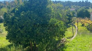 Terreno para venda em Santa Maria da Feira, Portugal — 225 000 €