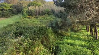 Terreno para venda em Lourinhã, Portugal — 7500 €