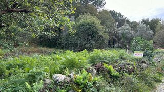 Terreno em Viana do Castelo · 850 m² · 88 000 €