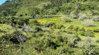 Land for sale in Mafra, Portugal — €35,000