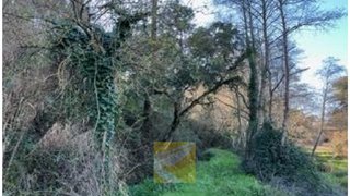 Land for sale in Ourém, Portugal — €4,000