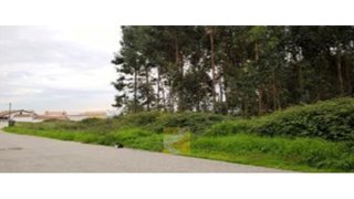 Land for sale in Albergaria-a-Velha, Portugal — €230,000