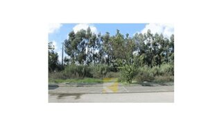 Terreno em Entroncamento