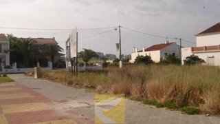 Land for sale in Alpiarça, Portugal — €59,000