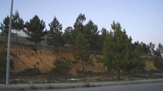 Land for sale in Mação, Portugal — €31,860
