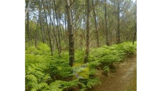 Land for sale in Sátão, Portugal — €27,000