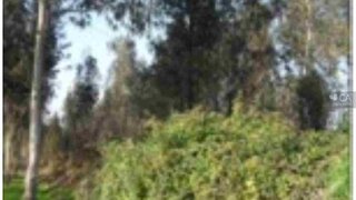 Land · 4,346 m² · €15,000