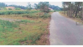 Terreno em Montemor-o-Velho