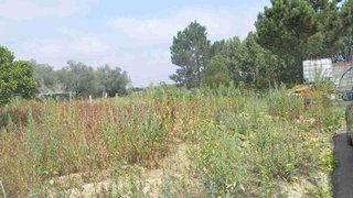 Terreno de 3000 m² em Leiria