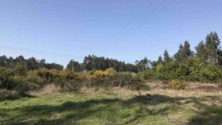 Terreno em Cantanhede