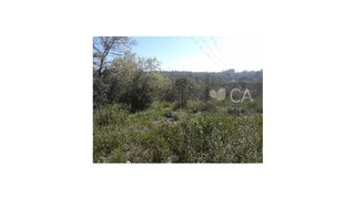Land for sale in Tomar, Portugal — €20,000