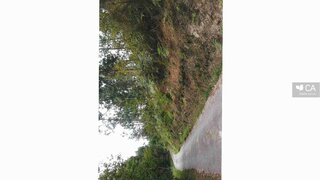 Land for sale in Cabeceiras de Basto, Portugal — €20,000