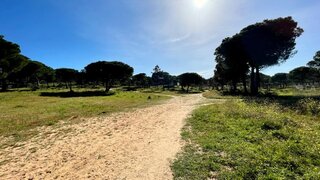 Terreno para venda em Albufeira, Portugal — 1 900 000 €