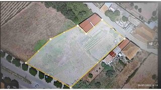 Land for sale in Anadia, Portugal — €135,000