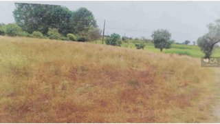 Land for sale in Montemor-o-Velho, Portugal — €8,715