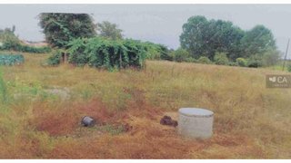 Terreno em Montemor-o-Velho