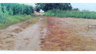 Land for sale in Montemor-o-Velho, Portugal — €6,300