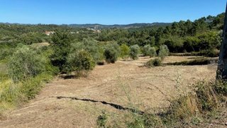 Land for sale in Pombal, Portugal — €3,000