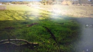 Land for sale in Montemor-o-Velho, Portugal — €6,940