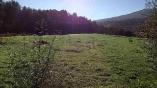 Land for sale in Peso da Régua, Portugal — €31,000
