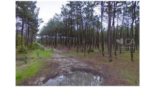 Terreno em Ílhavo