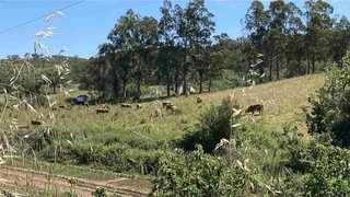 Land for sale in Odemira, Portugal — €4,344,900