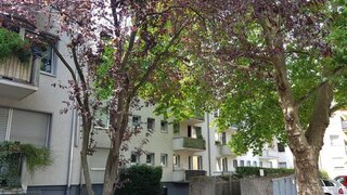 casafari-bild