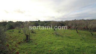 Land for sale in Silves, Portugal — €80,000