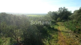 Land for sale in Silves, Portugal — €54,900
