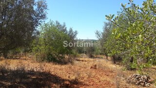 Land for sale in Silves, Portugal — €69,900