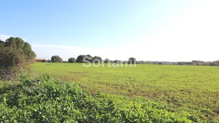 Land for sale in Loulé, Portugal — €1,125,000