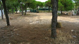 Land for sale in Loulé, Portugal — €1,975,000