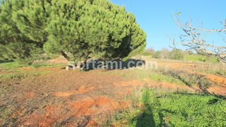 Land for sale in Silves, Portugal — €120,000