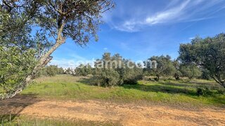 Land for sale in Loulé, Portugal — €1,600,000
