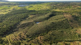 Land for sale in Mértola, Portugal — €75,000