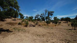 Land for sale in São Brás de Alportel, Portugal — €99,000