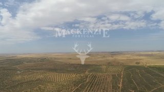 Terreno de 200 000 m² em Beja