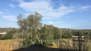 Land for sale in Loulé, Portugal — €300,000