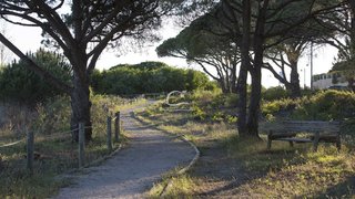 Land for sale in Loulé, Portugal