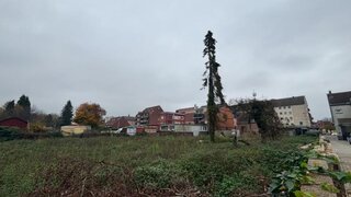 casafari-bild