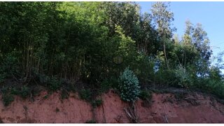 Land for sale in Águeda, Portugal — €64,900