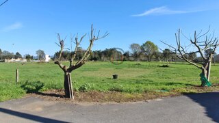 Land for sale in Águeda, Portugal — €42,500