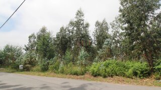 Land for sale in Águeda, Portugal — €160,000