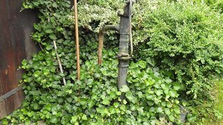 casafari-bild