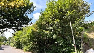 casafari-bild