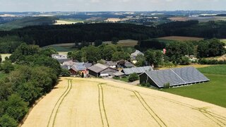 casafari-bild