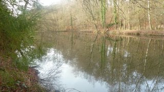 casafari-bild